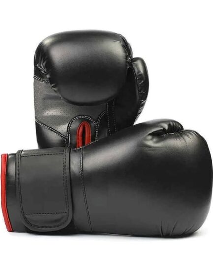 Black Red Trim Boxing Gloves